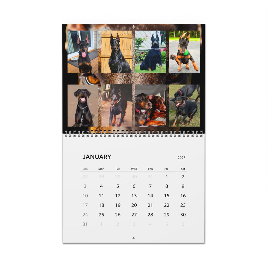 Edition 1 Doberman Training Co Calendar 2027
