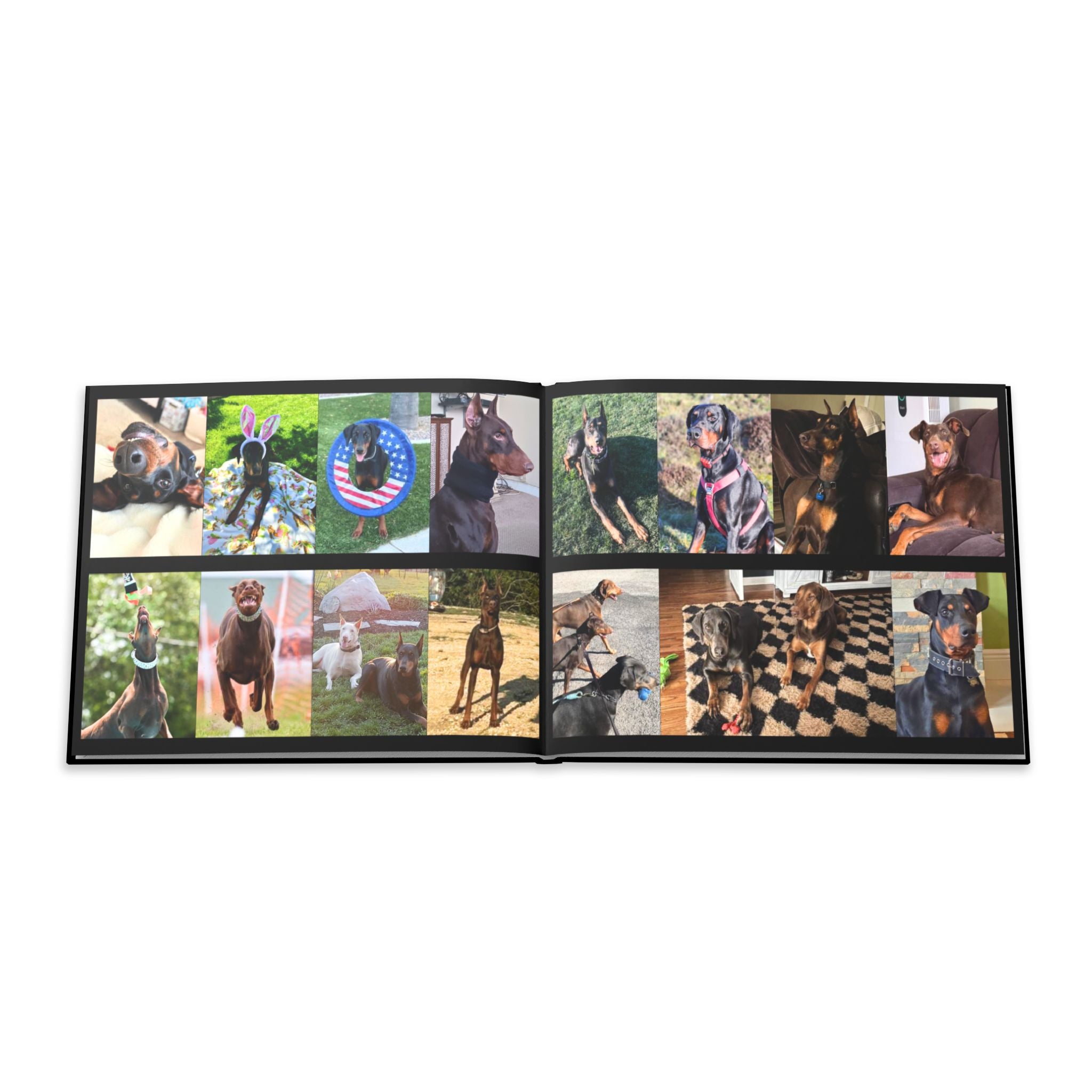 The Doberman Photo Book: Celebrating the Breed We Love (Edition 4 2016–2026)