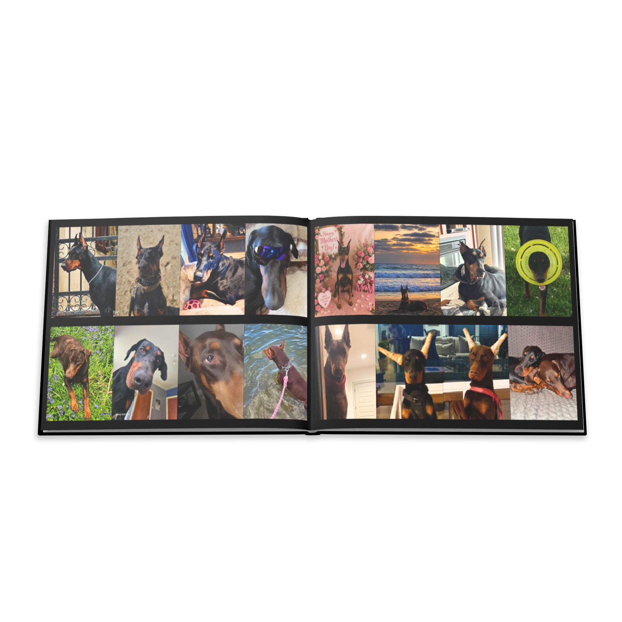 The Doberman Photo Book: Celebrating the Breed We Love (Edition 3 2016–2026)