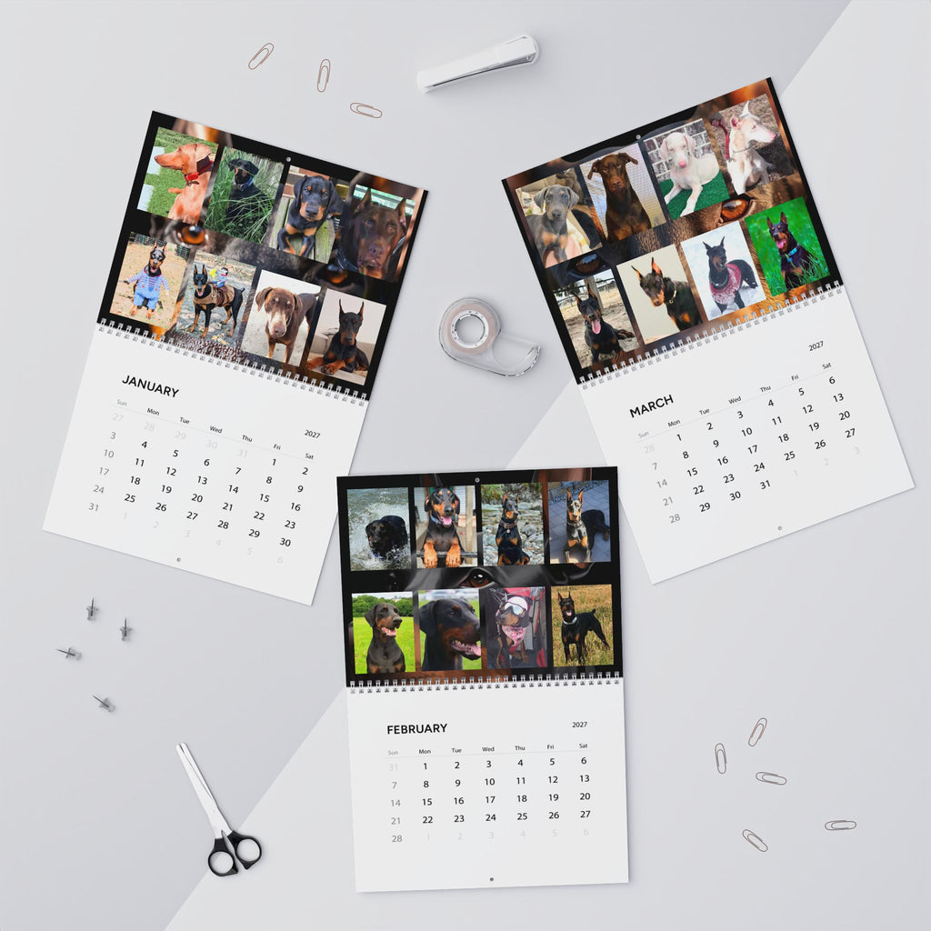 Edition 4 Doberman Training Co Calendar 2027