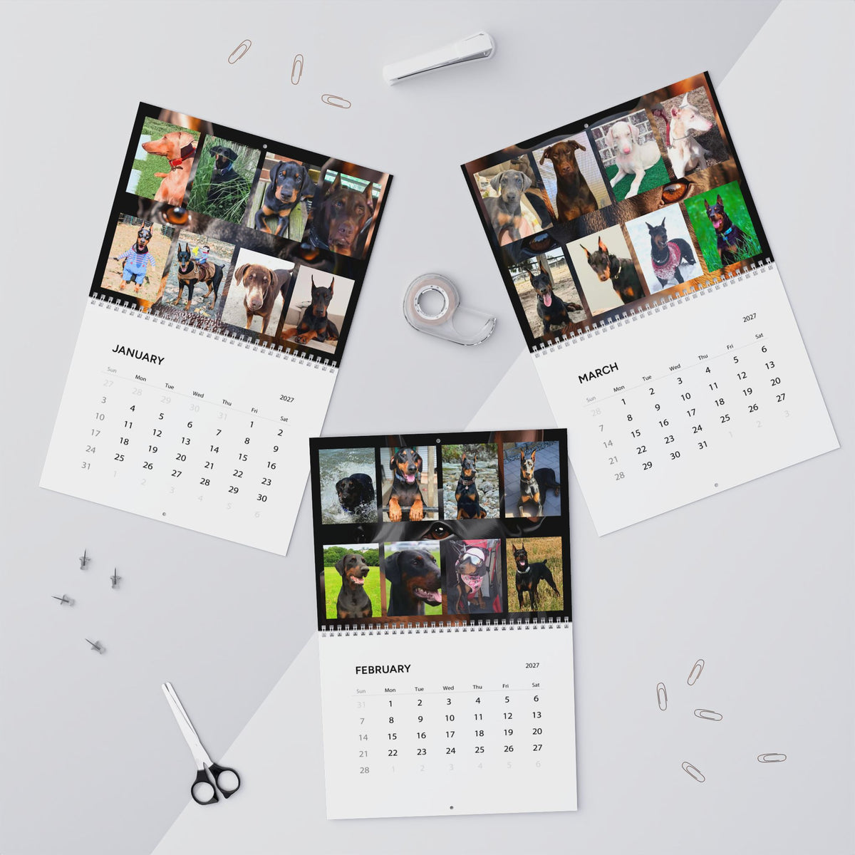 Edition 4 Doberman Training Co Calendar 2027