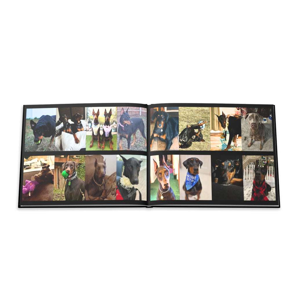 The Doberman Photo Book: Celebrating the Breed We Love (Edition 1 2016–2026)