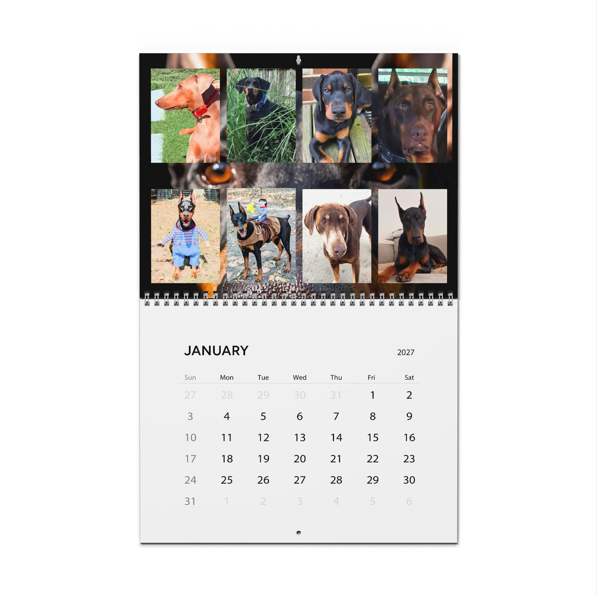 Edition 4 Doberman Training Co Calendar 2027