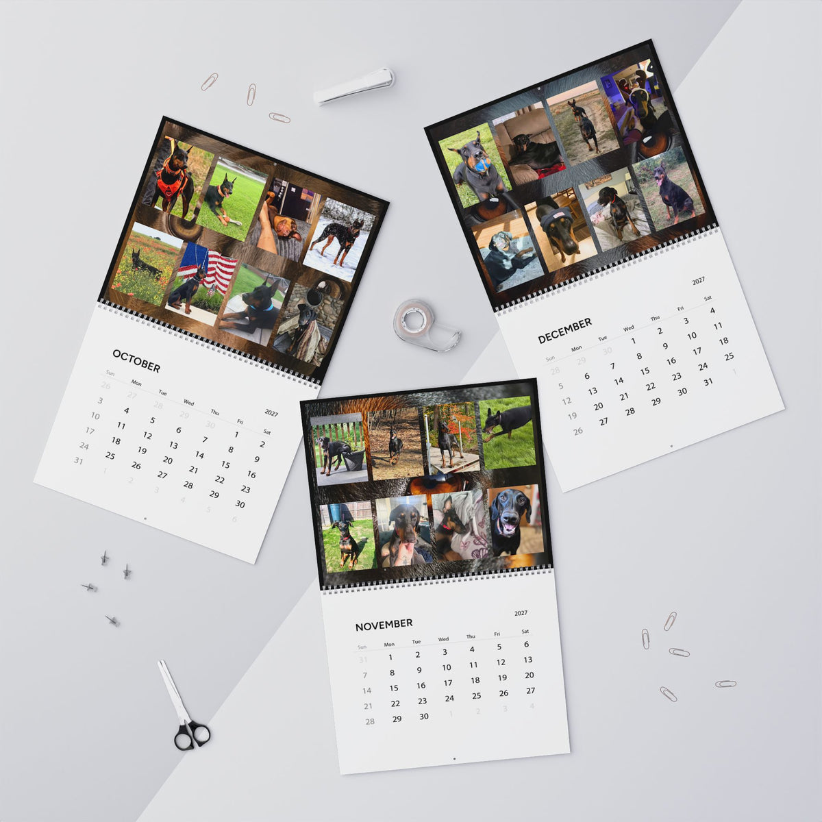 Edition 7 Doberman Training Co Calendar 2027
