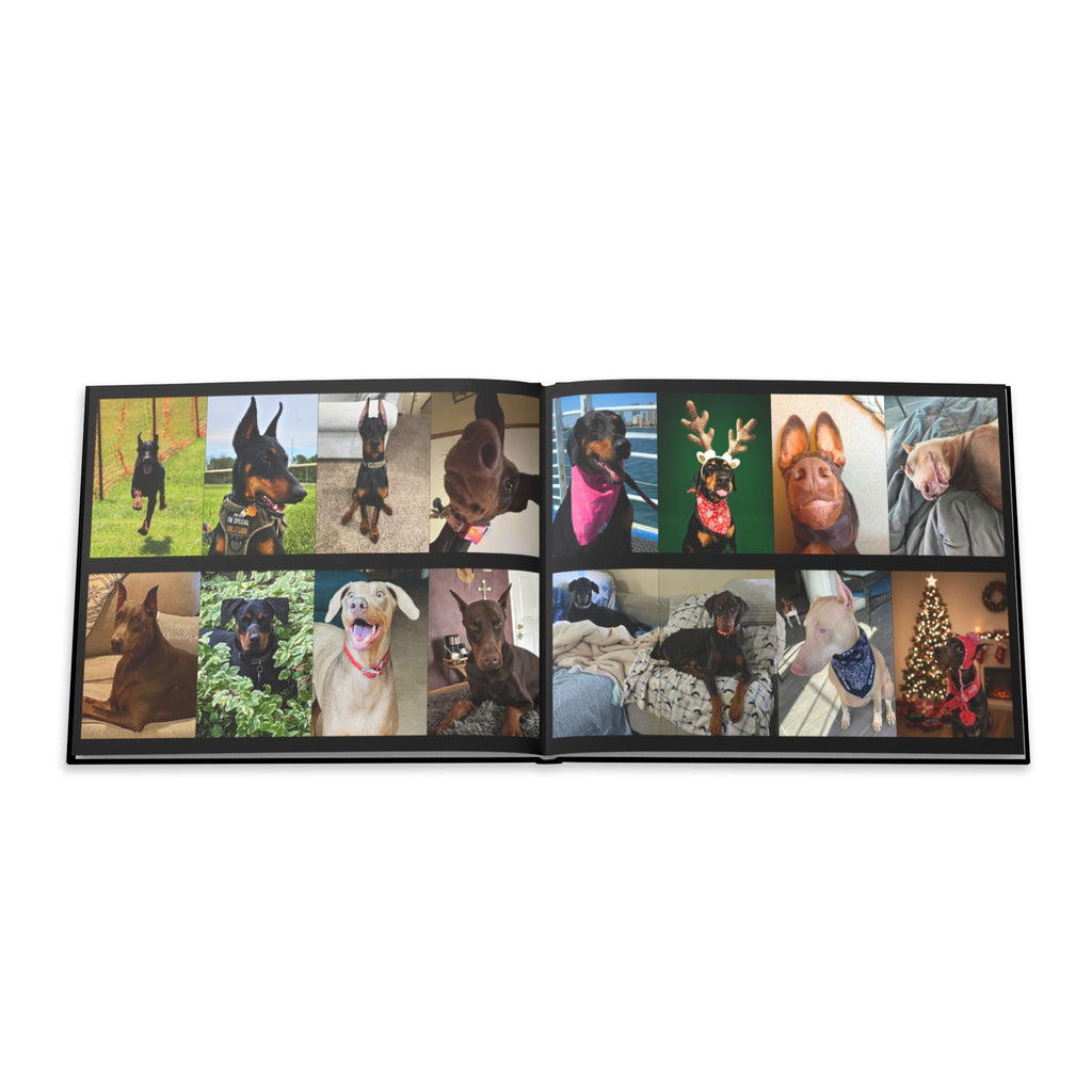 The Doberman Photo Book: Celebrating the Breed We Love (Edition 1 2016–2026)