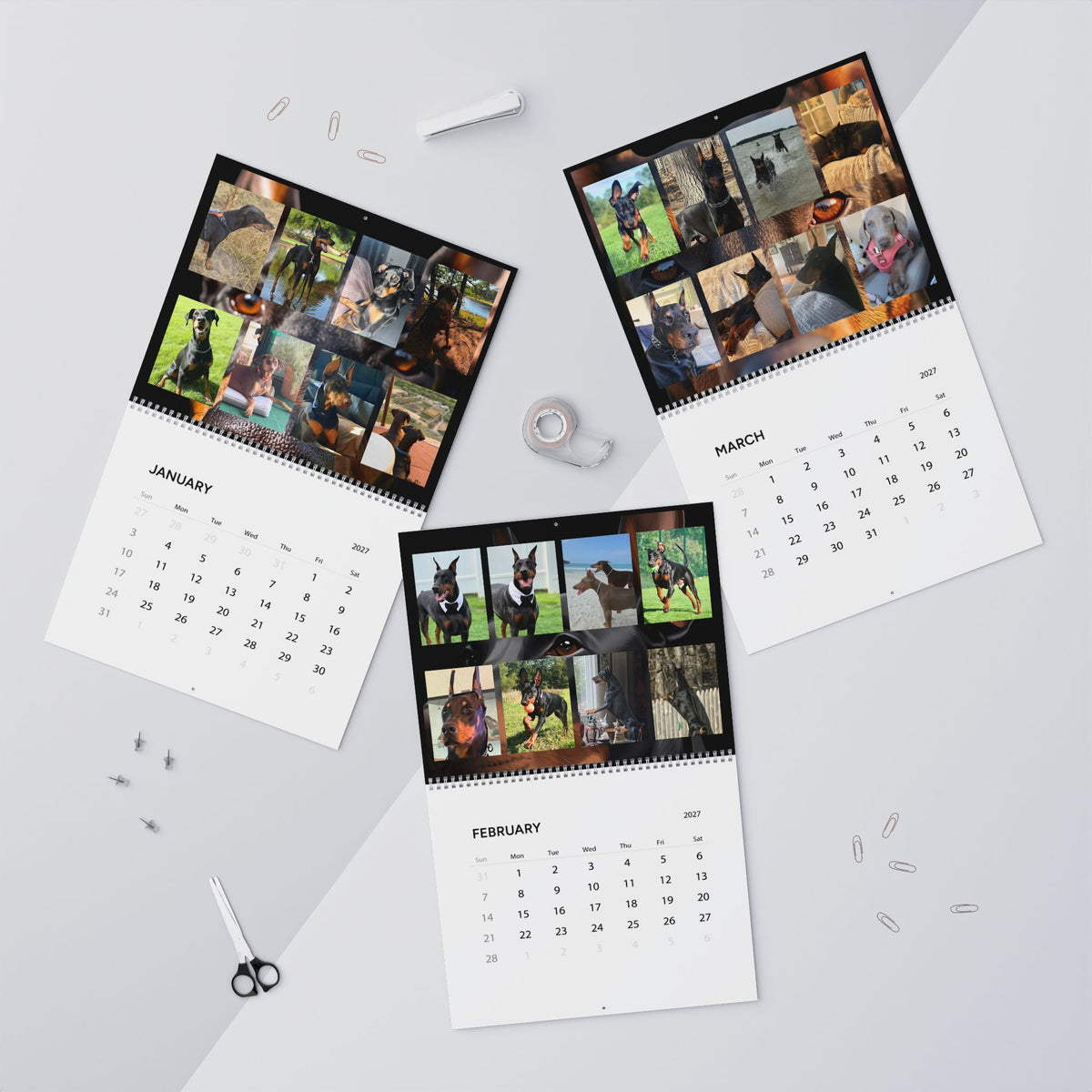 Edition 5 Doberman Training Co Calendar 2027