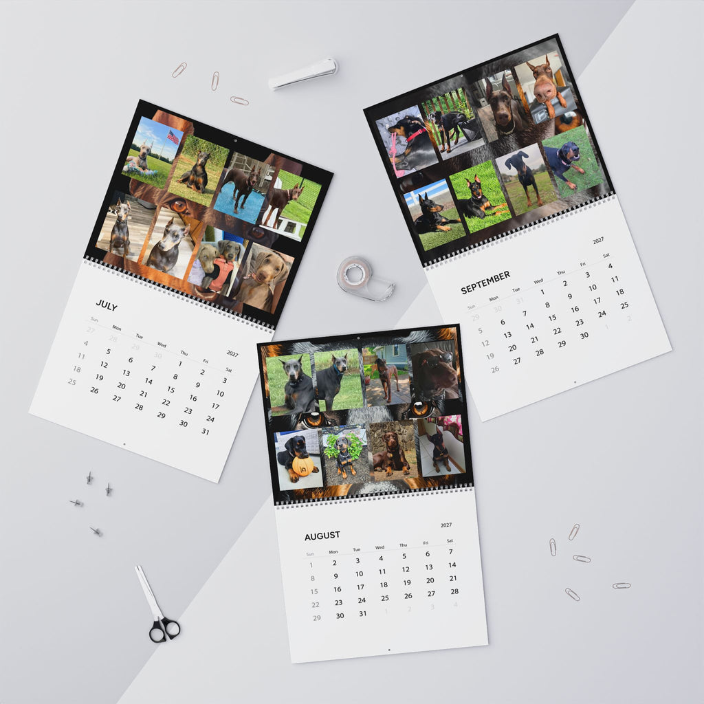 Edition 5 Doberman Training Co Calendar 2027