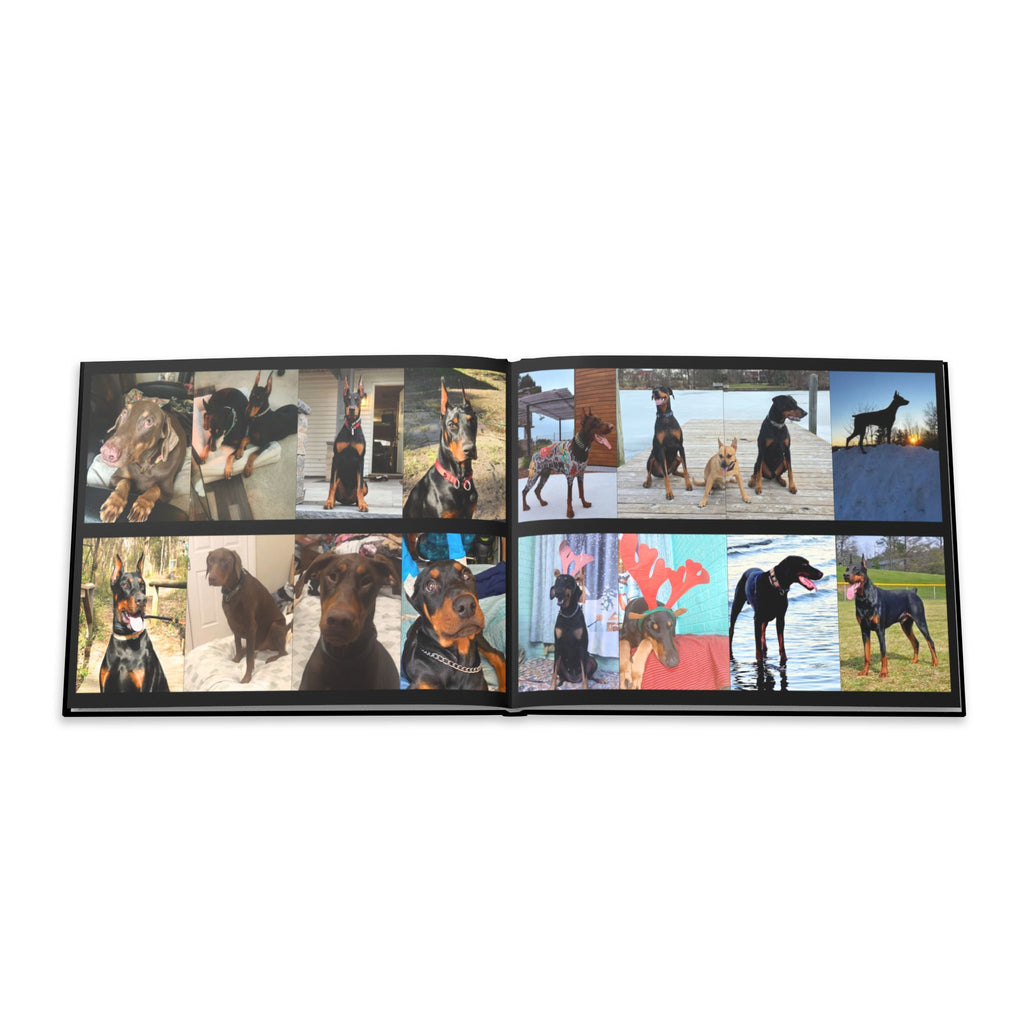 The Doberman Photo Book: Celebrating the Breed We Love (Edition 4 2016–2026)