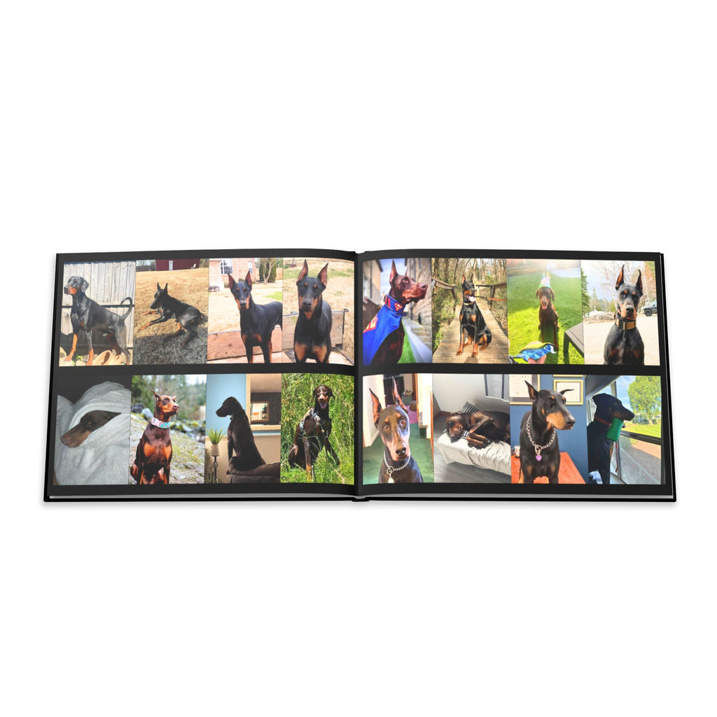 The Doberman Photo Book: Celebrating the Breed We Love (Edition 4 2016–2026)