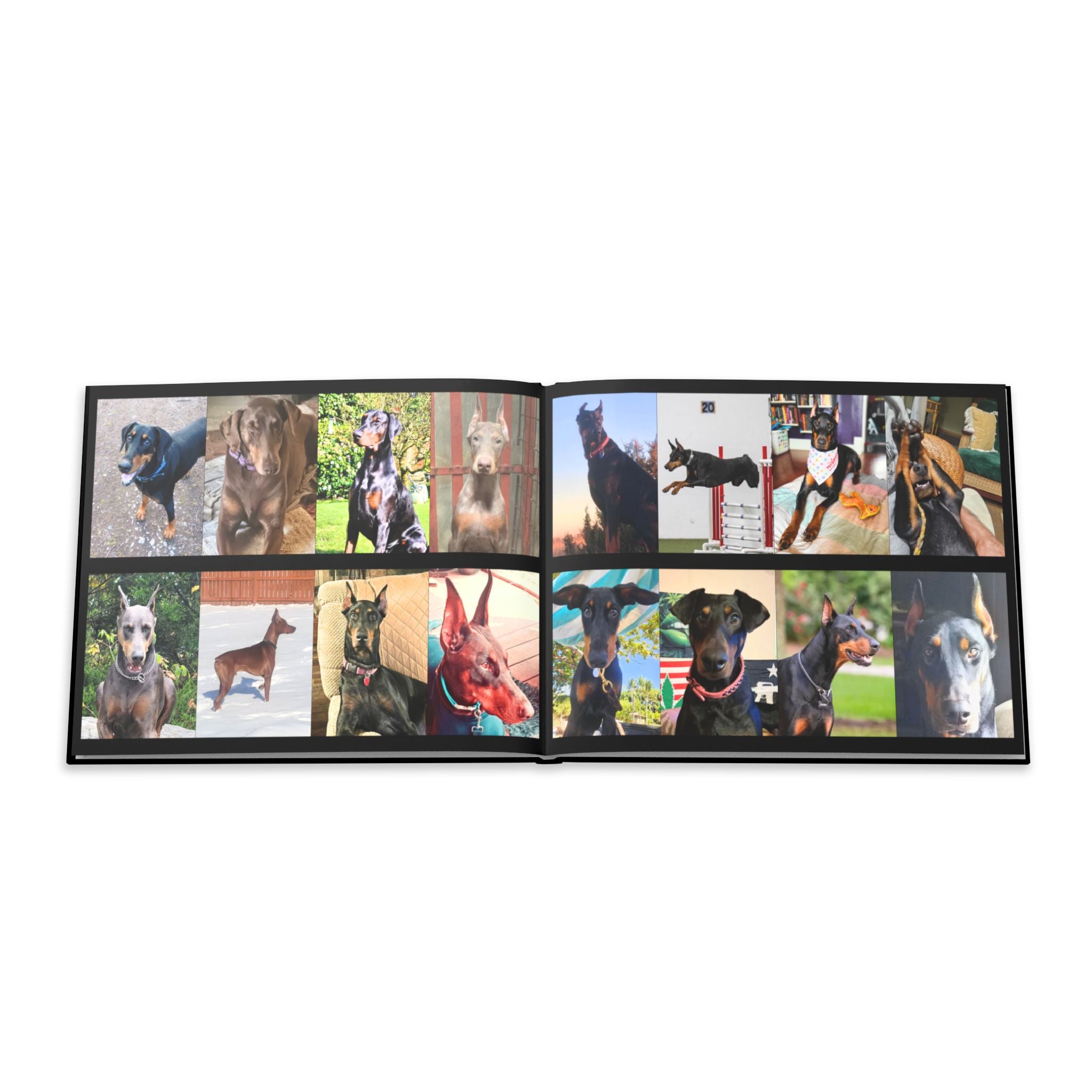 The Doberman Photo Book: Celebrating the Breed We Love (Edition 4 2016–2026)