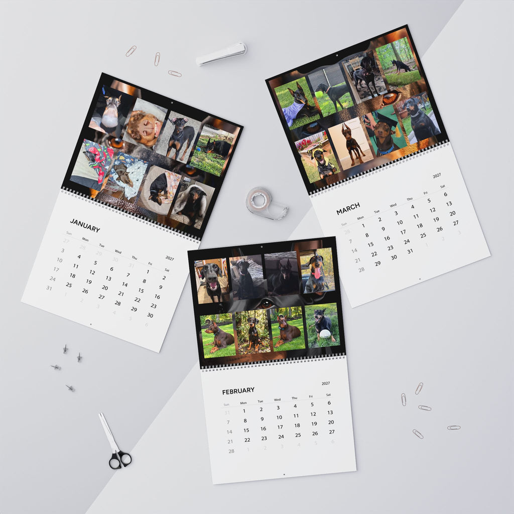 Edition 7 Doberman Training Co Calendar 2027