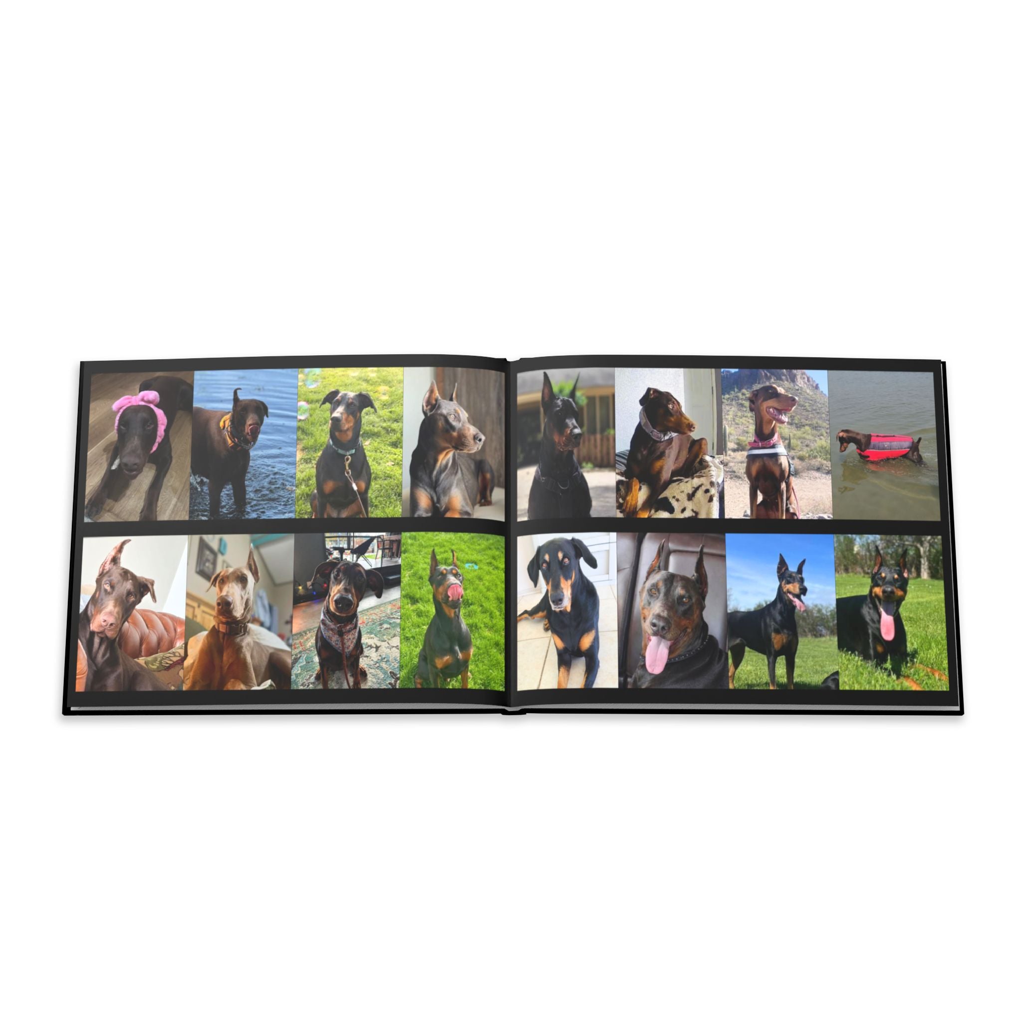 The Doberman Photo Book: Celebrating the Breed We Love (Edition 3 2016–2026)