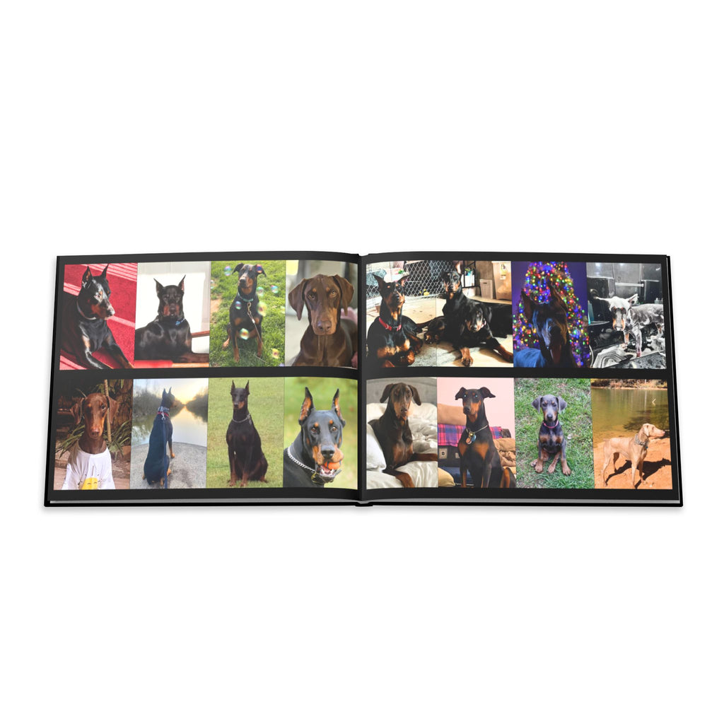 The Doberman Photo Book: Celebrating the Breed We Love (Edition 2 2016–2026)