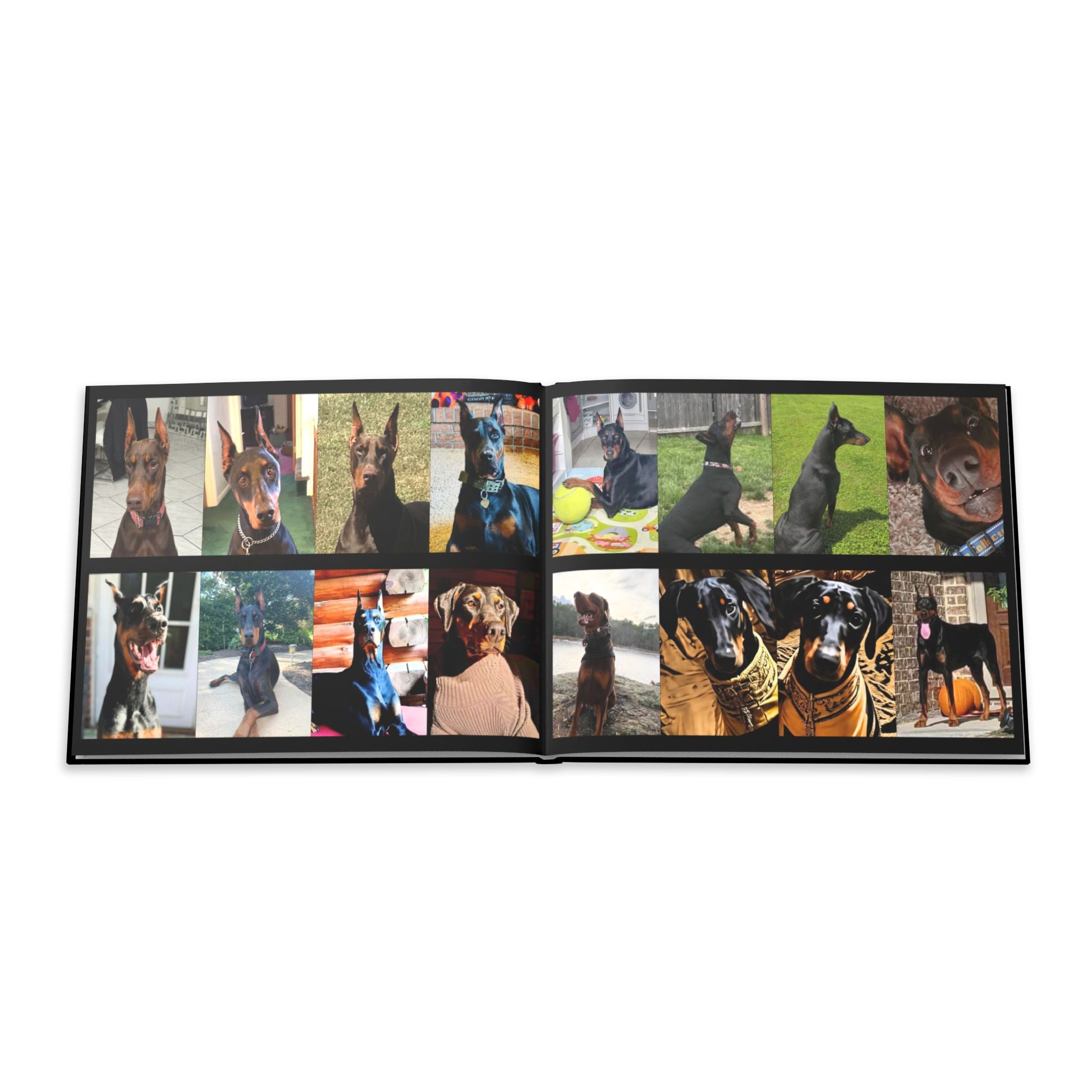 The Doberman Photo Book: Celebrating the Breed We Love (Edition 3 2016–2026)