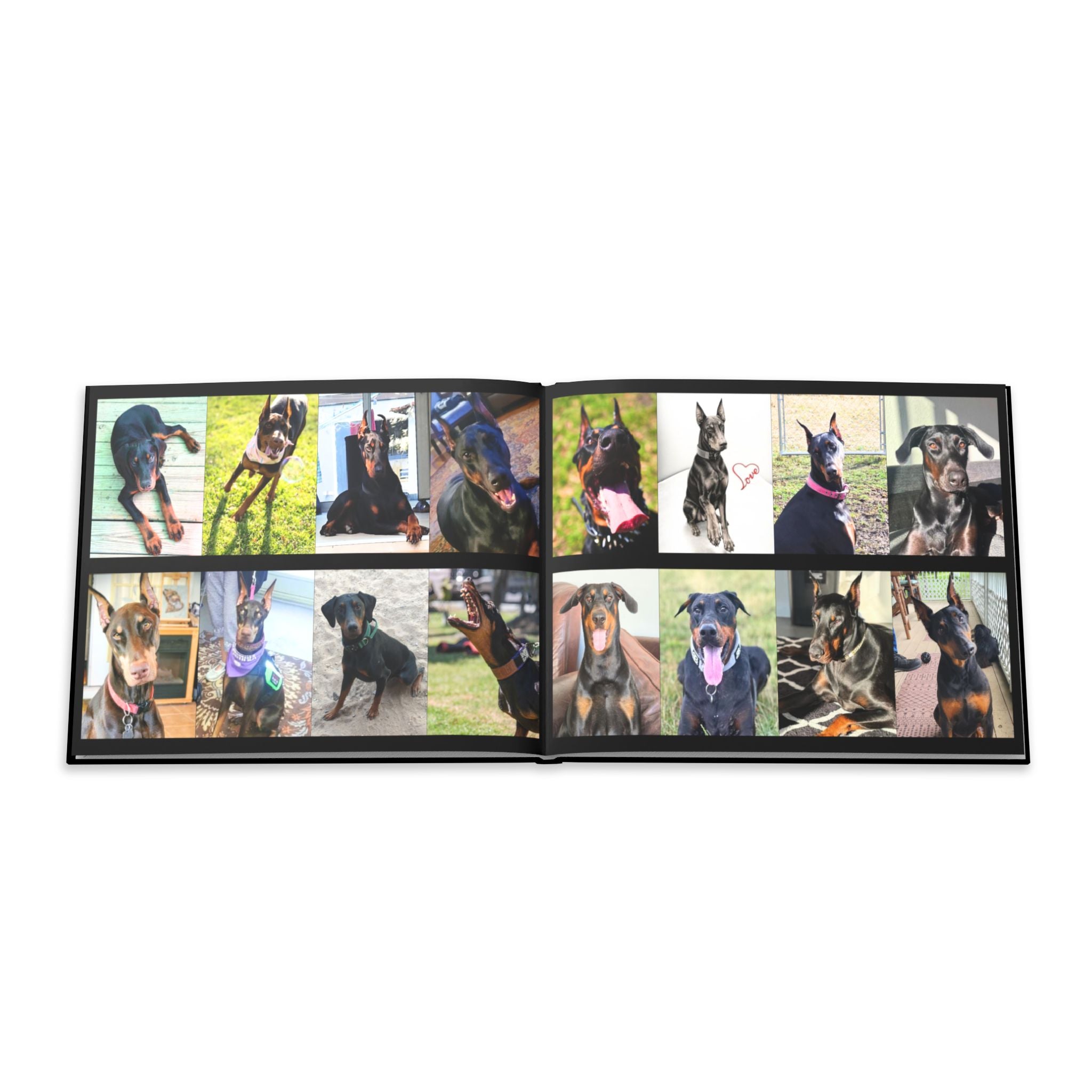 The Doberman Photo Book: Celebrating the Breed We Love (Edition 1 2016–2026)