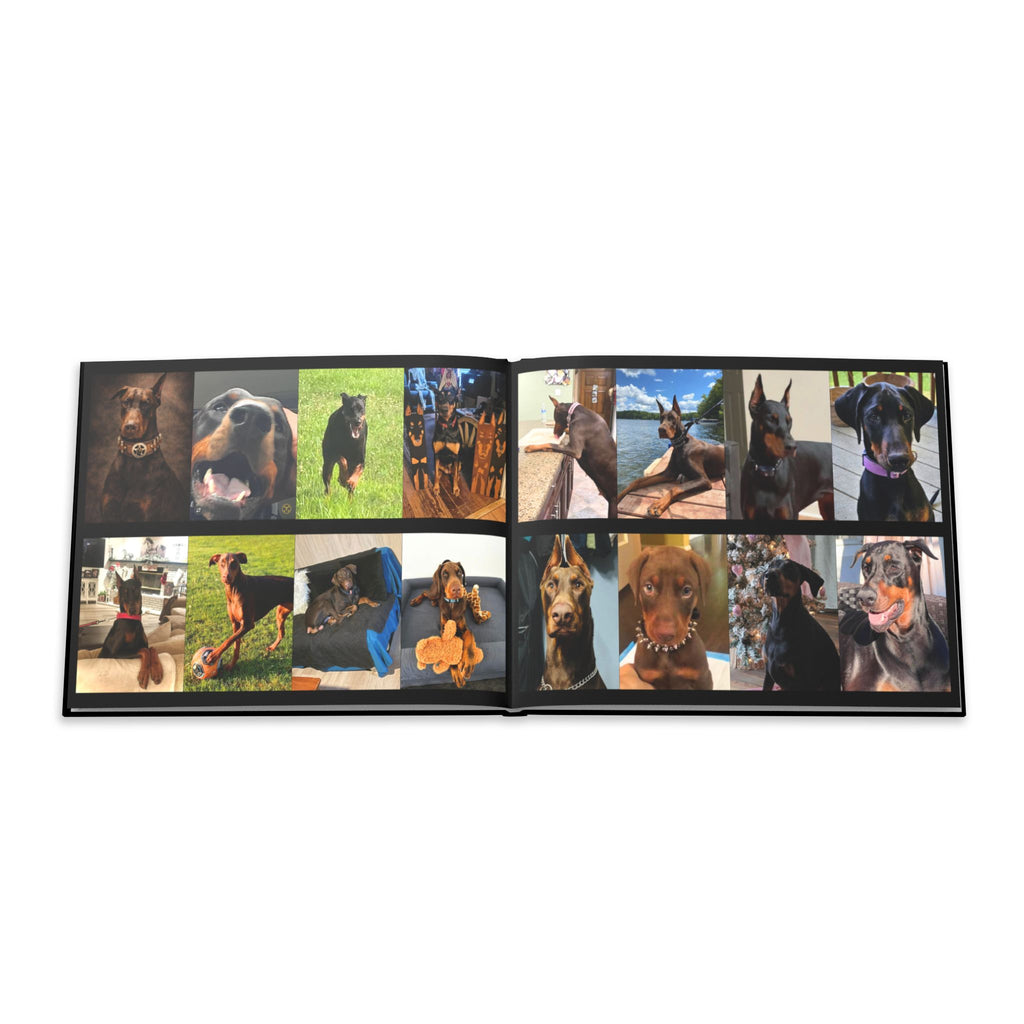 The Doberman Photo Book: Celebrating the Breed We Love (Edition 2 2016–2026)