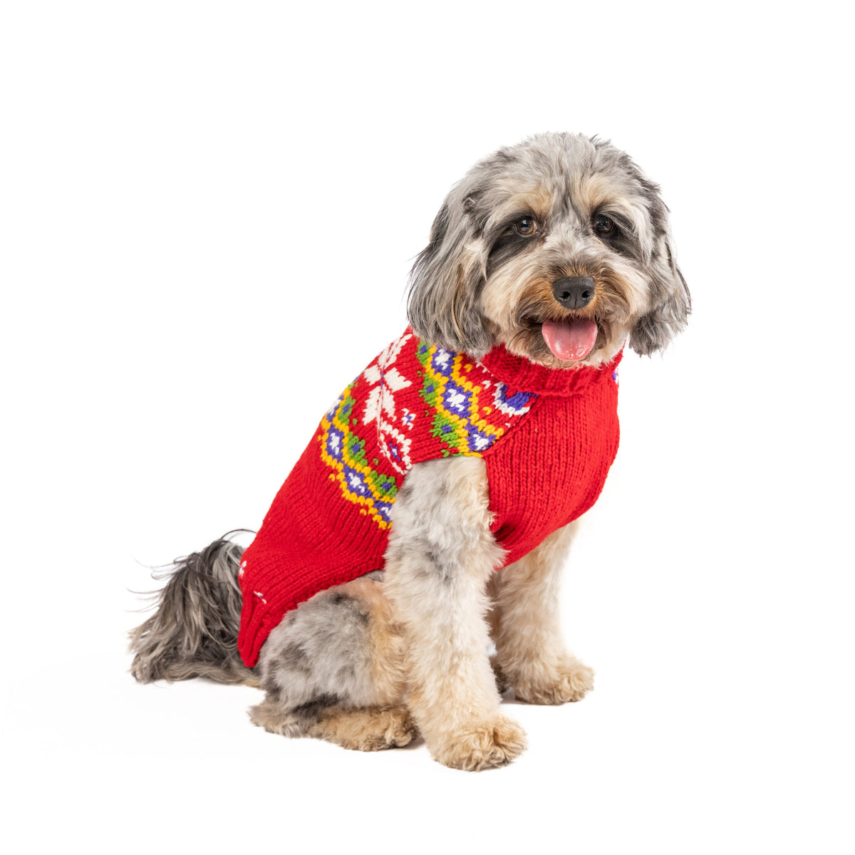Jolly Red Dog Sweater