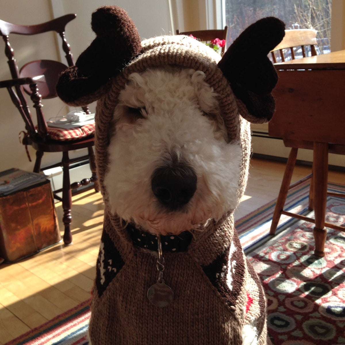 Moosey Hoodie Dog Sweater