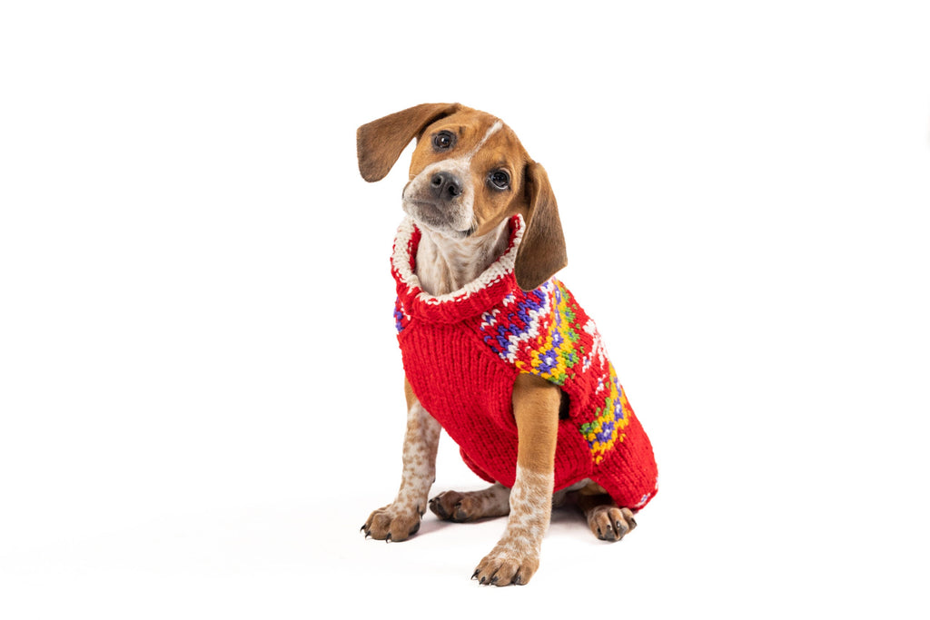Jolly Red Dog Sweater