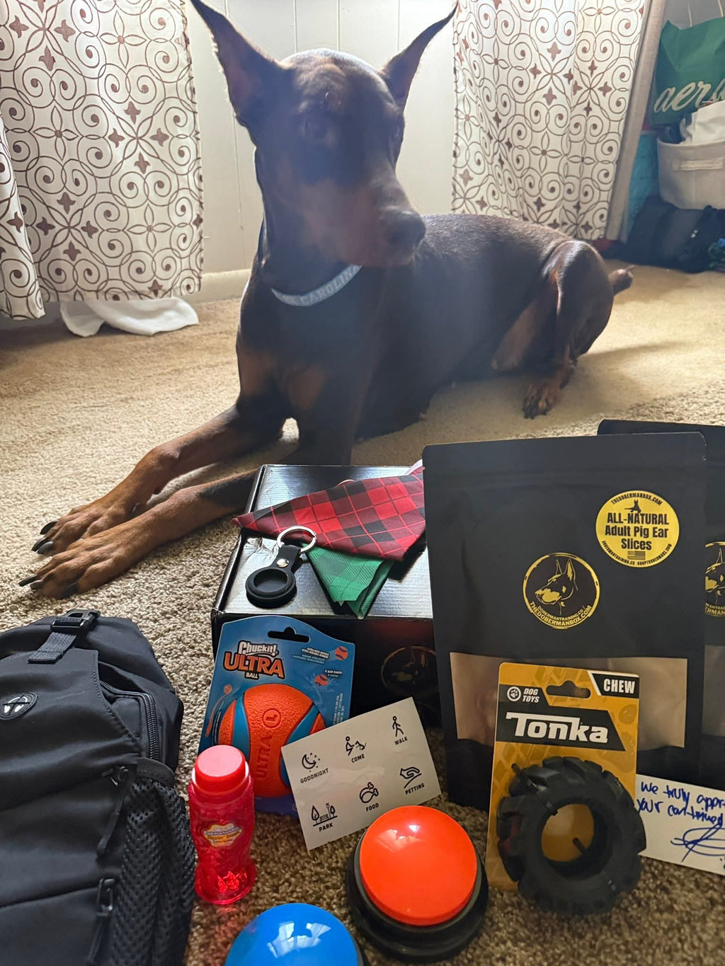 The Guardian Box