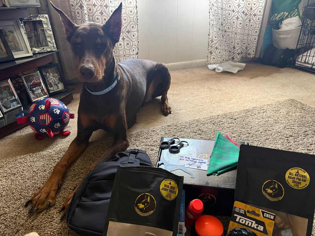 The Guardian Box