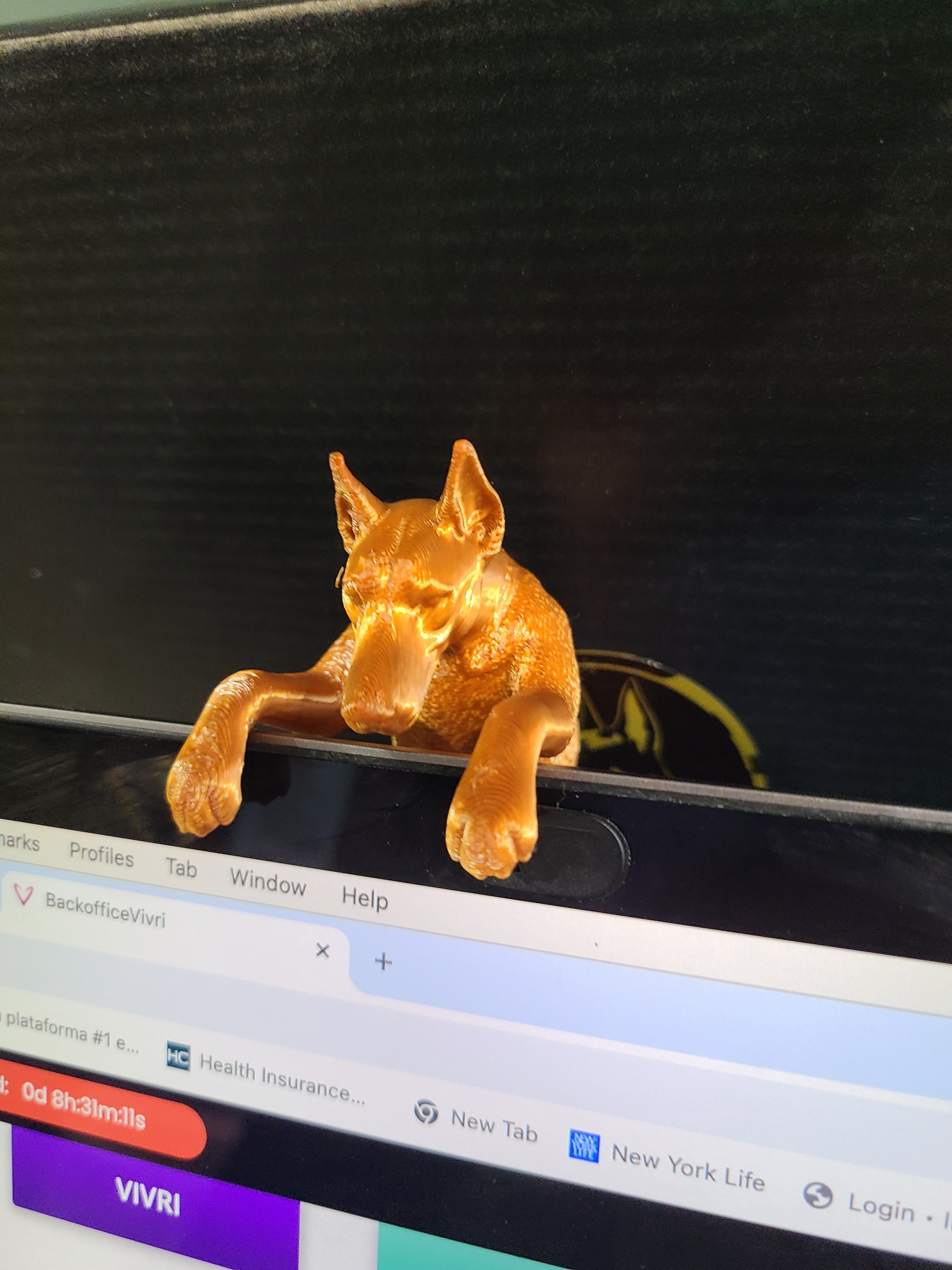 3D Doberman Products