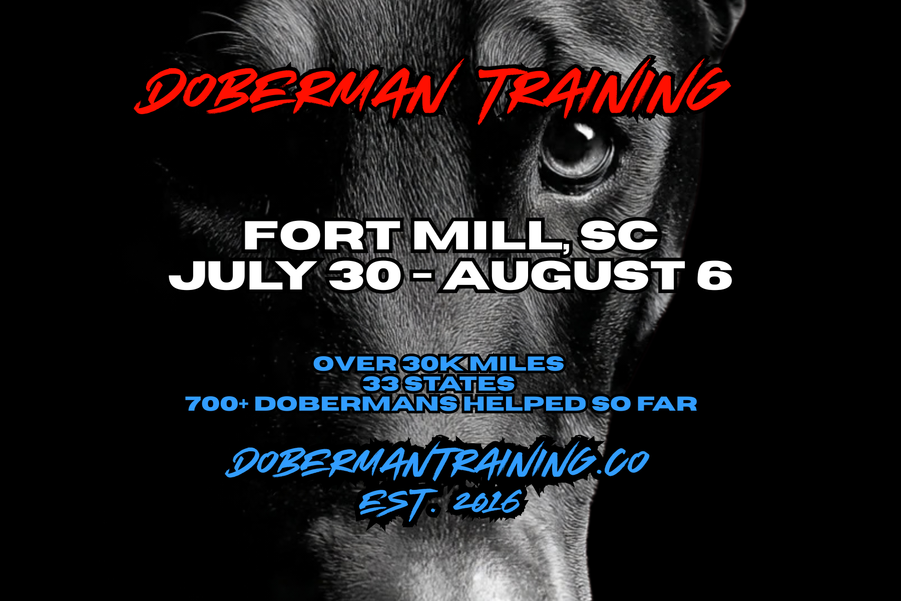 90-Minute In-Person Evaluation & Orientation + 1 Year Online Coaching