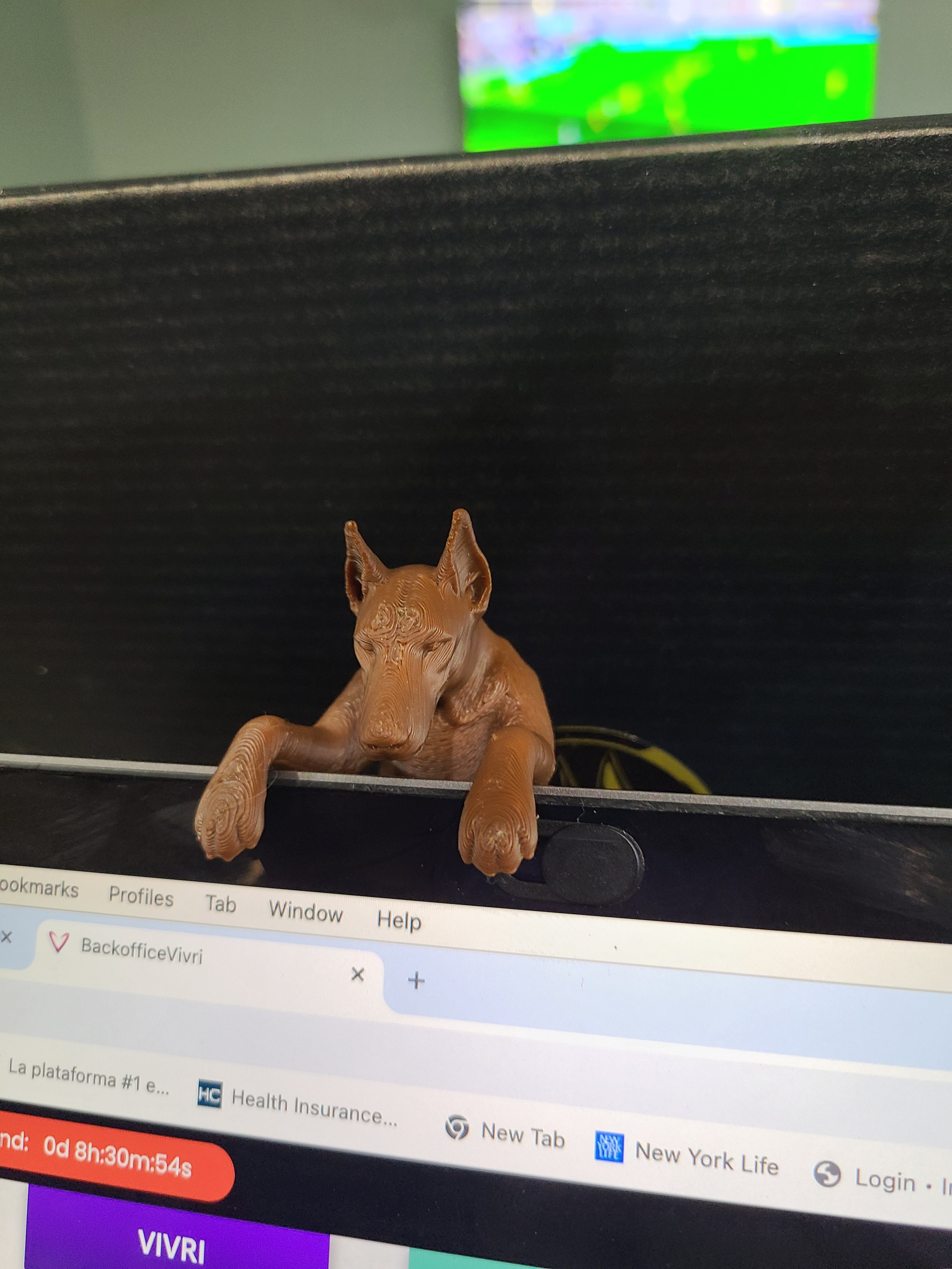 3D Doberman Products