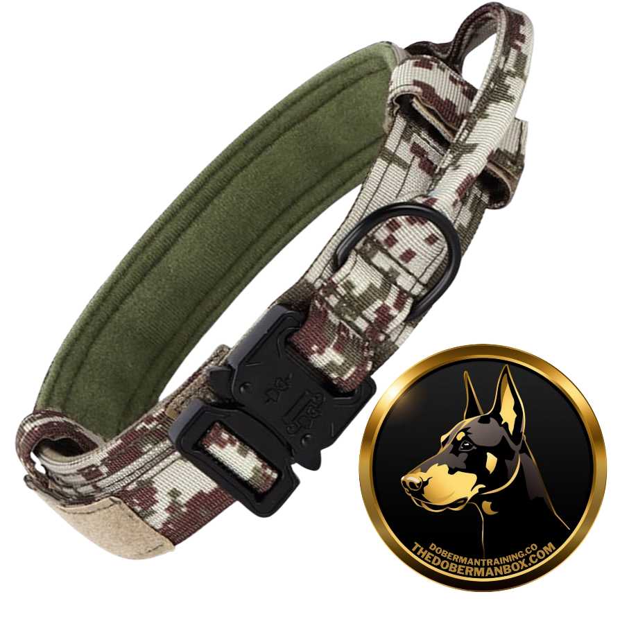 Tactical Collar