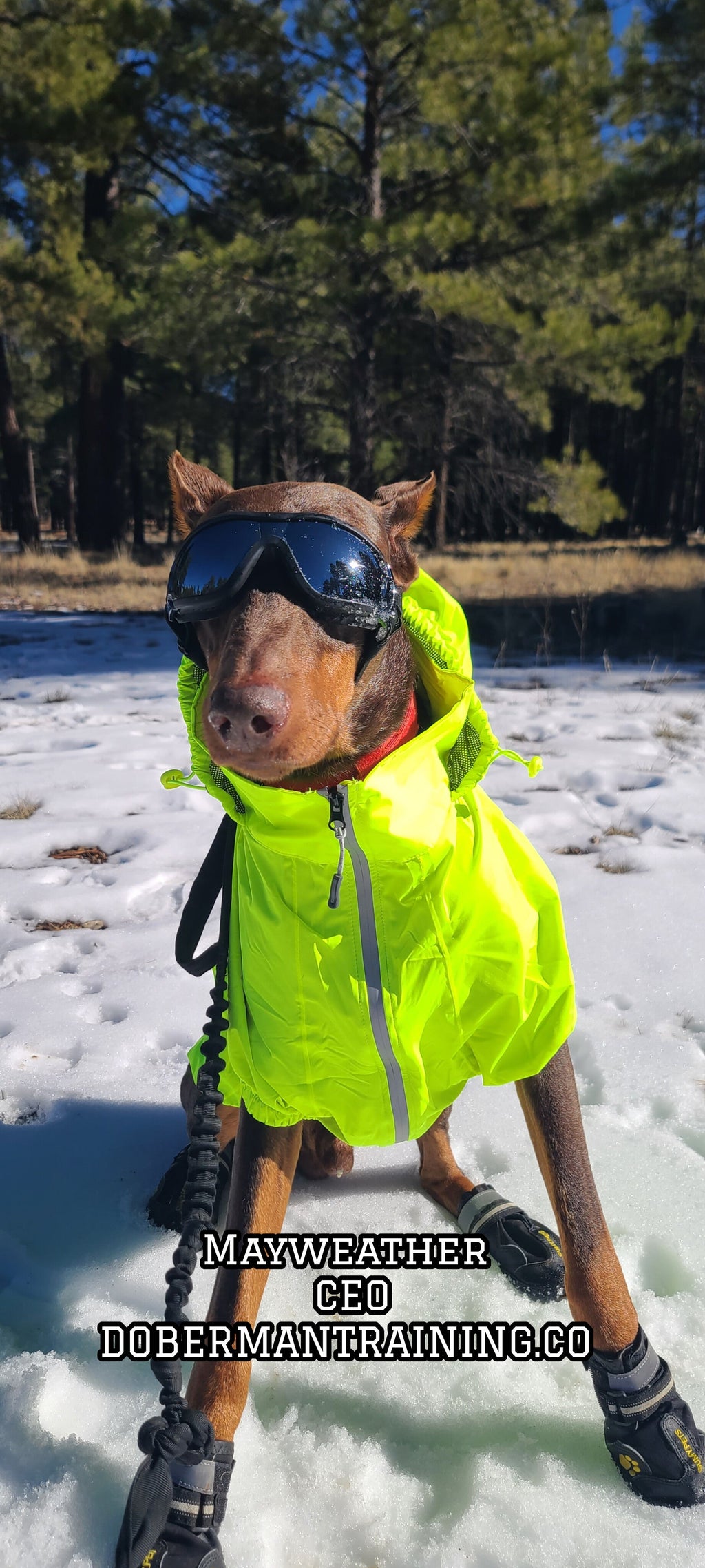Goggles