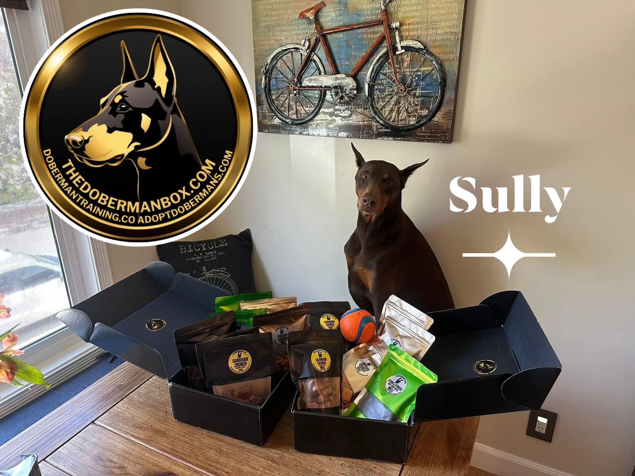 The Doberman Treat Club