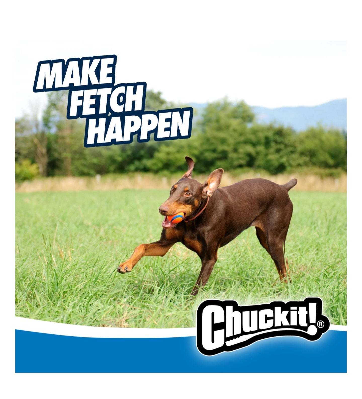 Chuckit Large 3" Ultra Rubber Ball