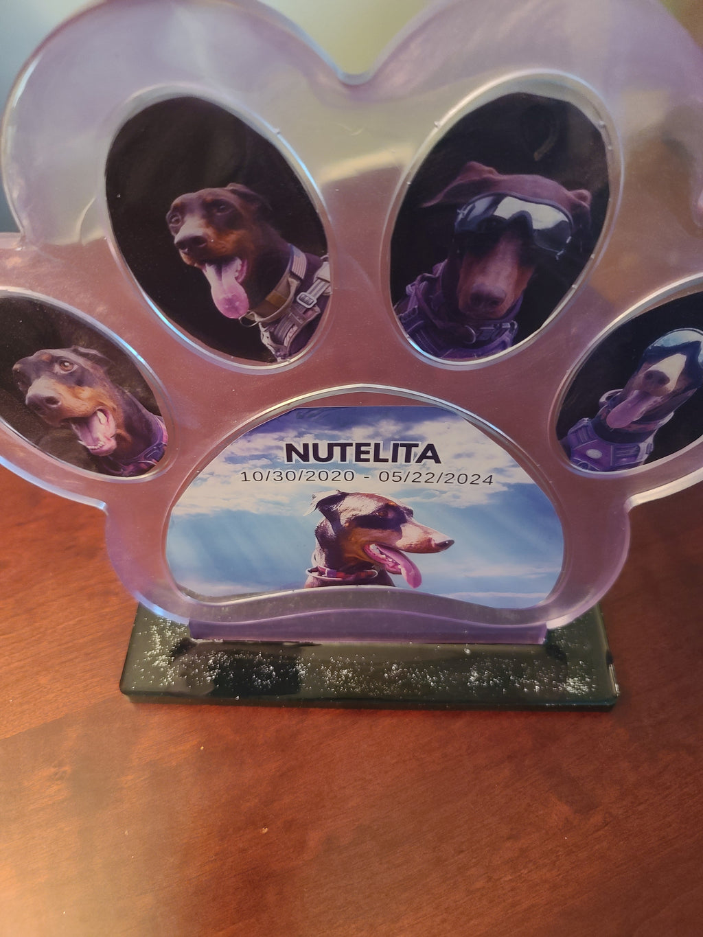The Doberman Legacy/Memorial Paw — Custom Resin Photo Frame 10.5"w×9.7"t