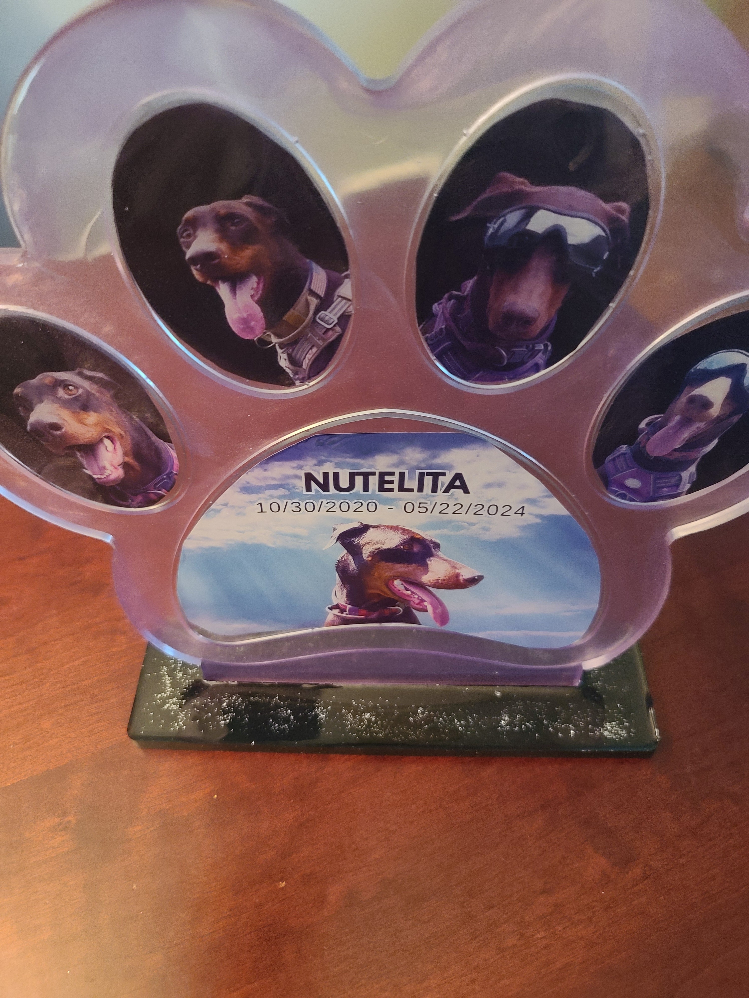 The Doberman Legacy/Memorial Paw — Custom Resin Photo Frame 10.5"w×9.7"t