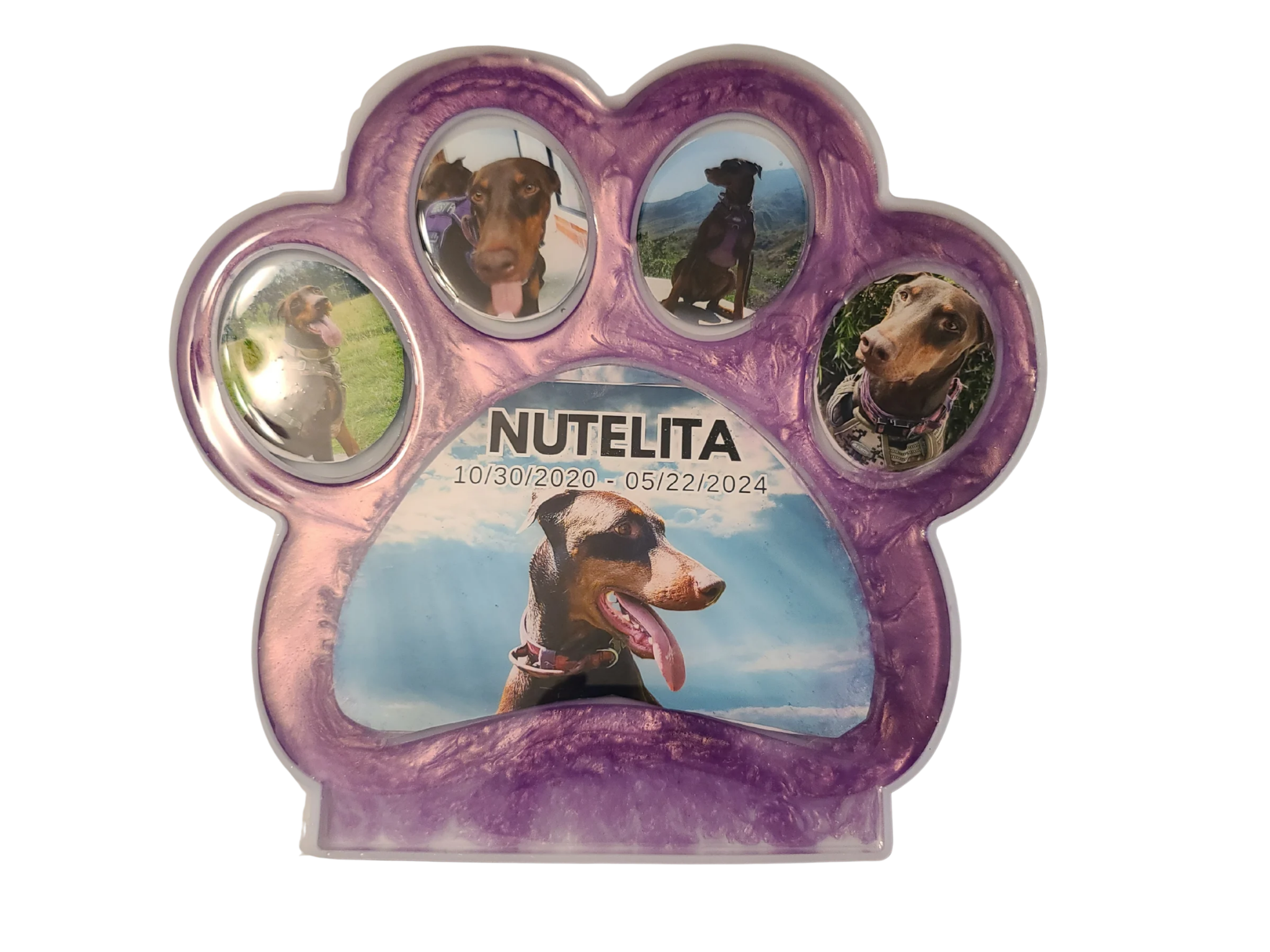 The Doberman Legacy/Memorial Paw — Custom Resin Photo Frame 10.5"w×9.7"t