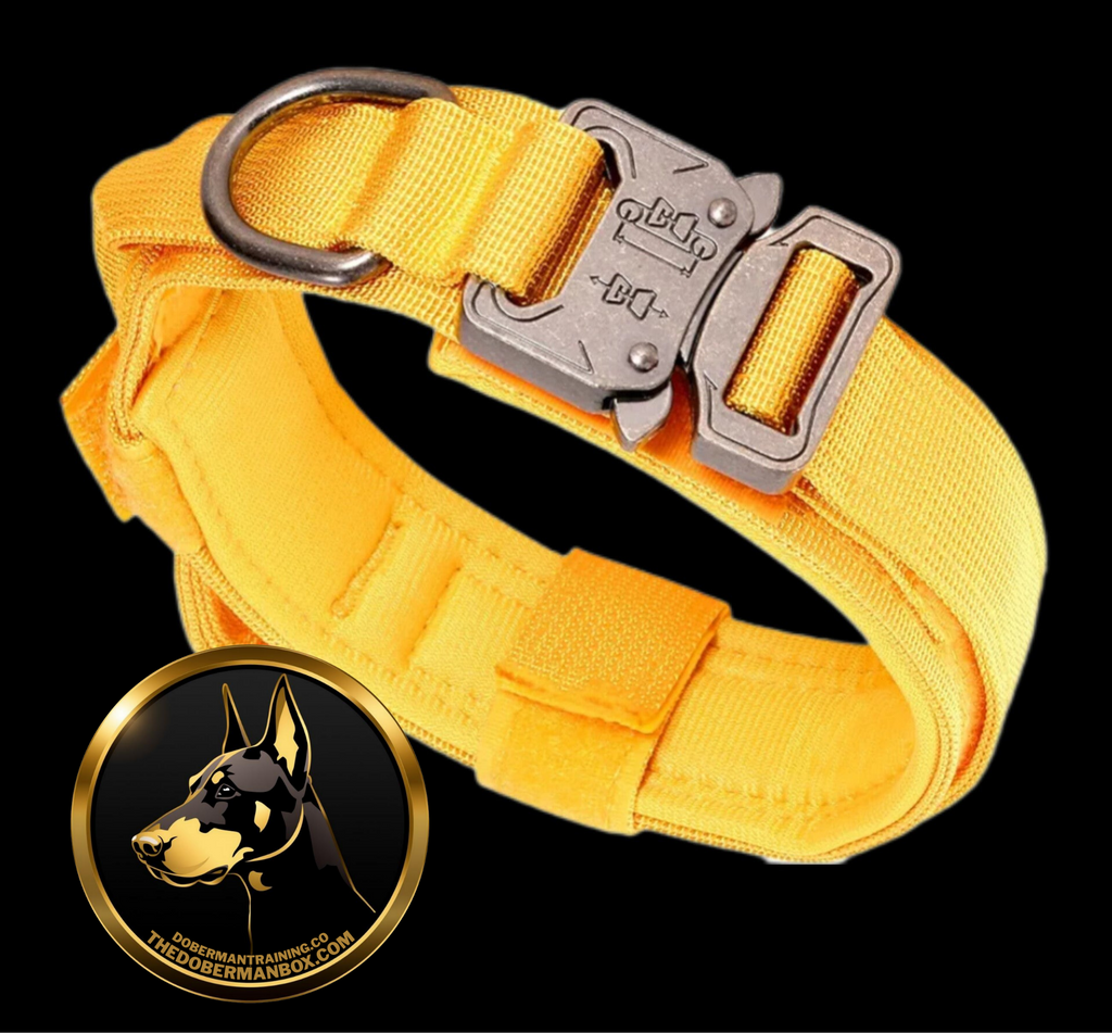 Tactical Collar