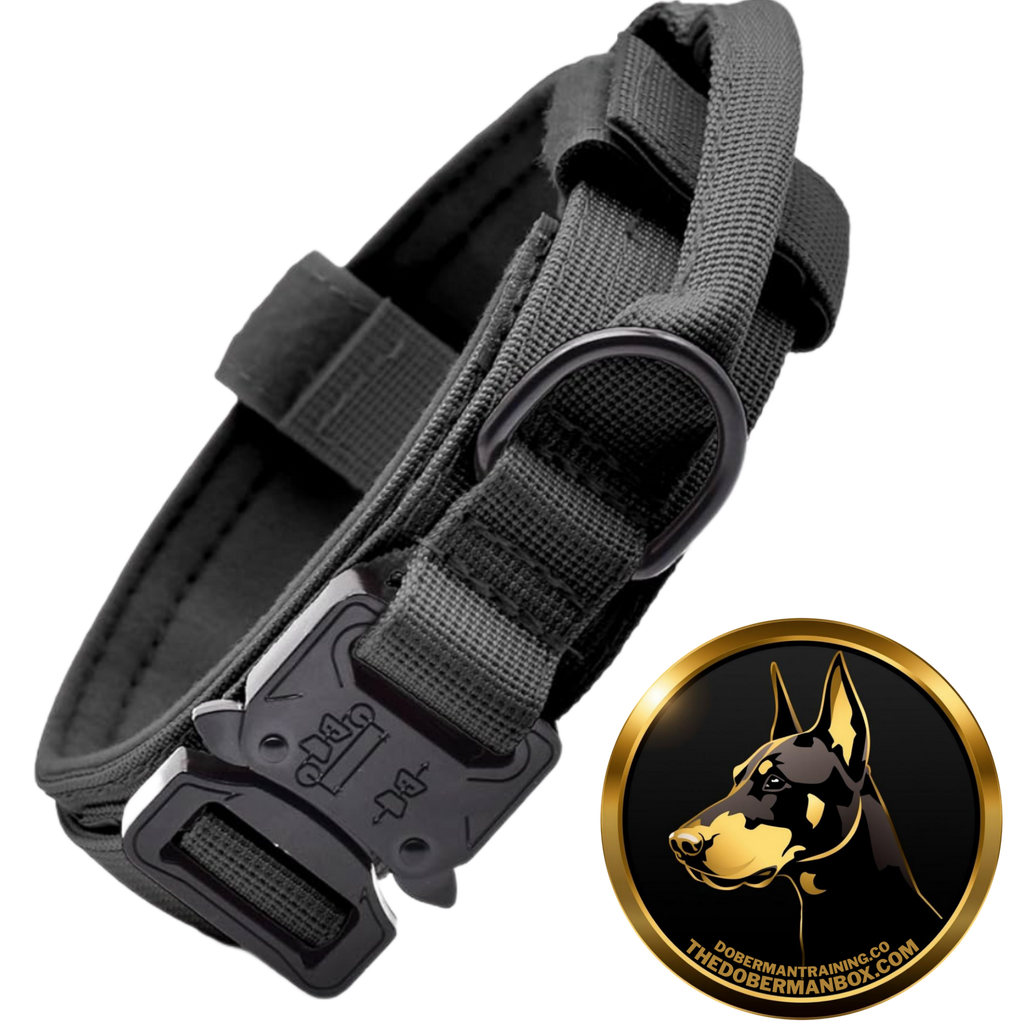 Tactical Collar