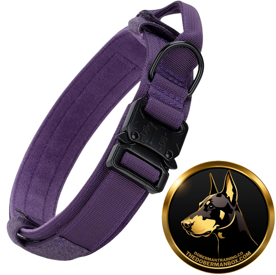 Tactical Collar