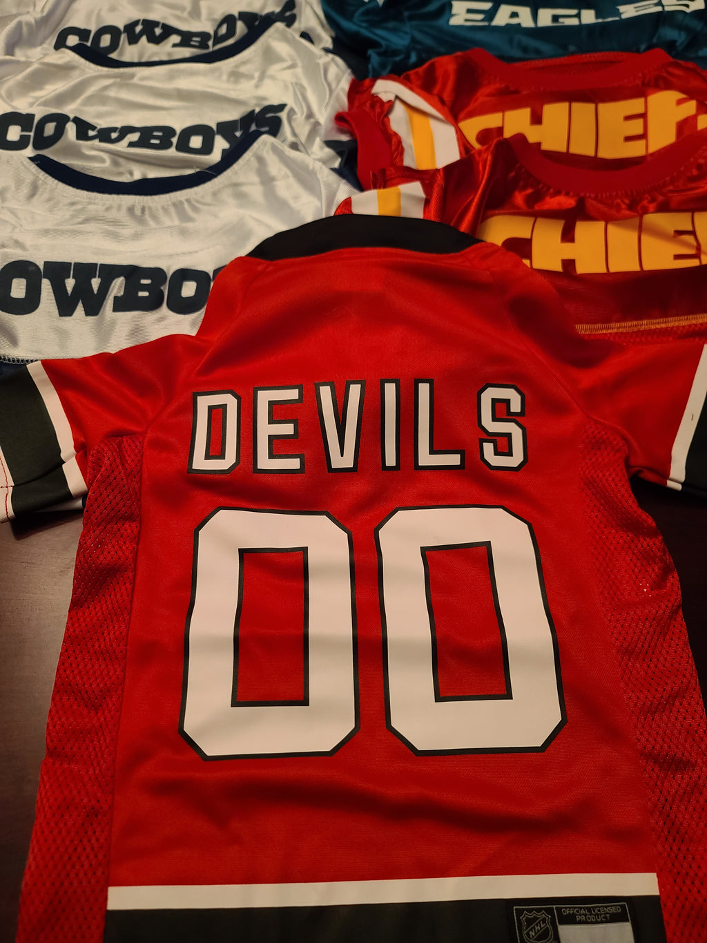 Pro Team Jerseys — Made for Dobermans