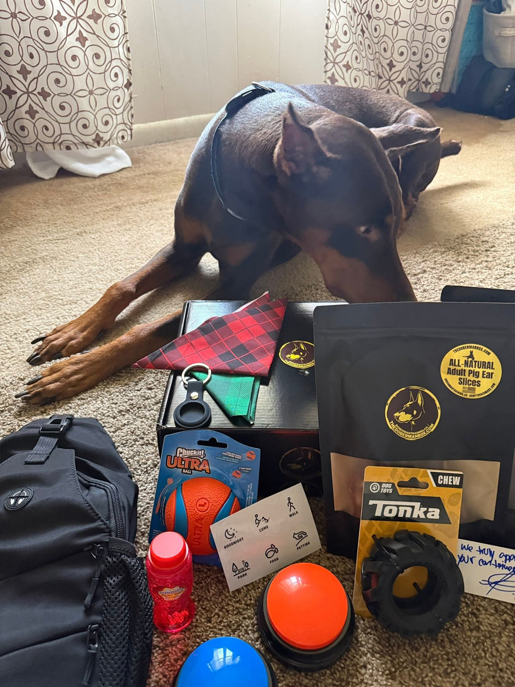 The Guardian Box