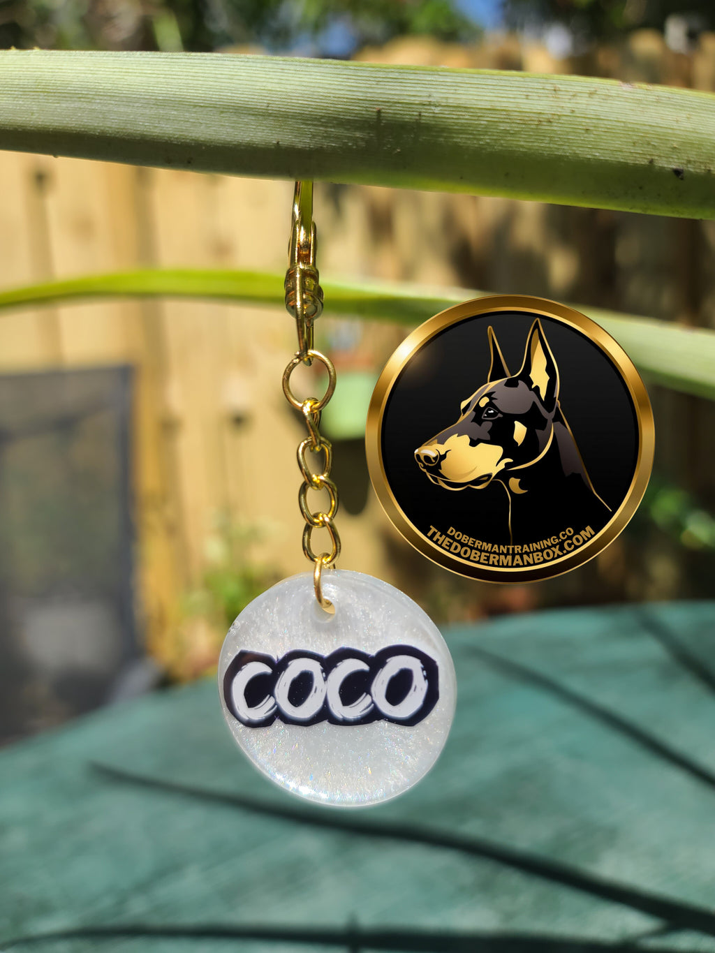 Hand-Poured Premium Resin Dog Name Tags – by The Doberman Box