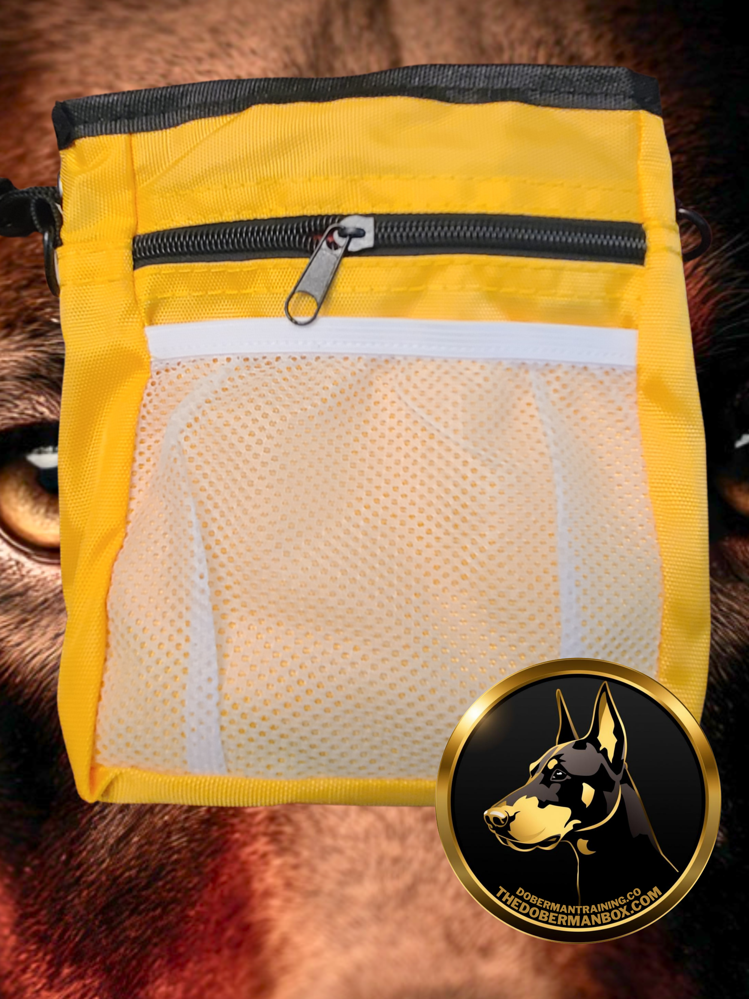 Waterproof Training Treat Pouch