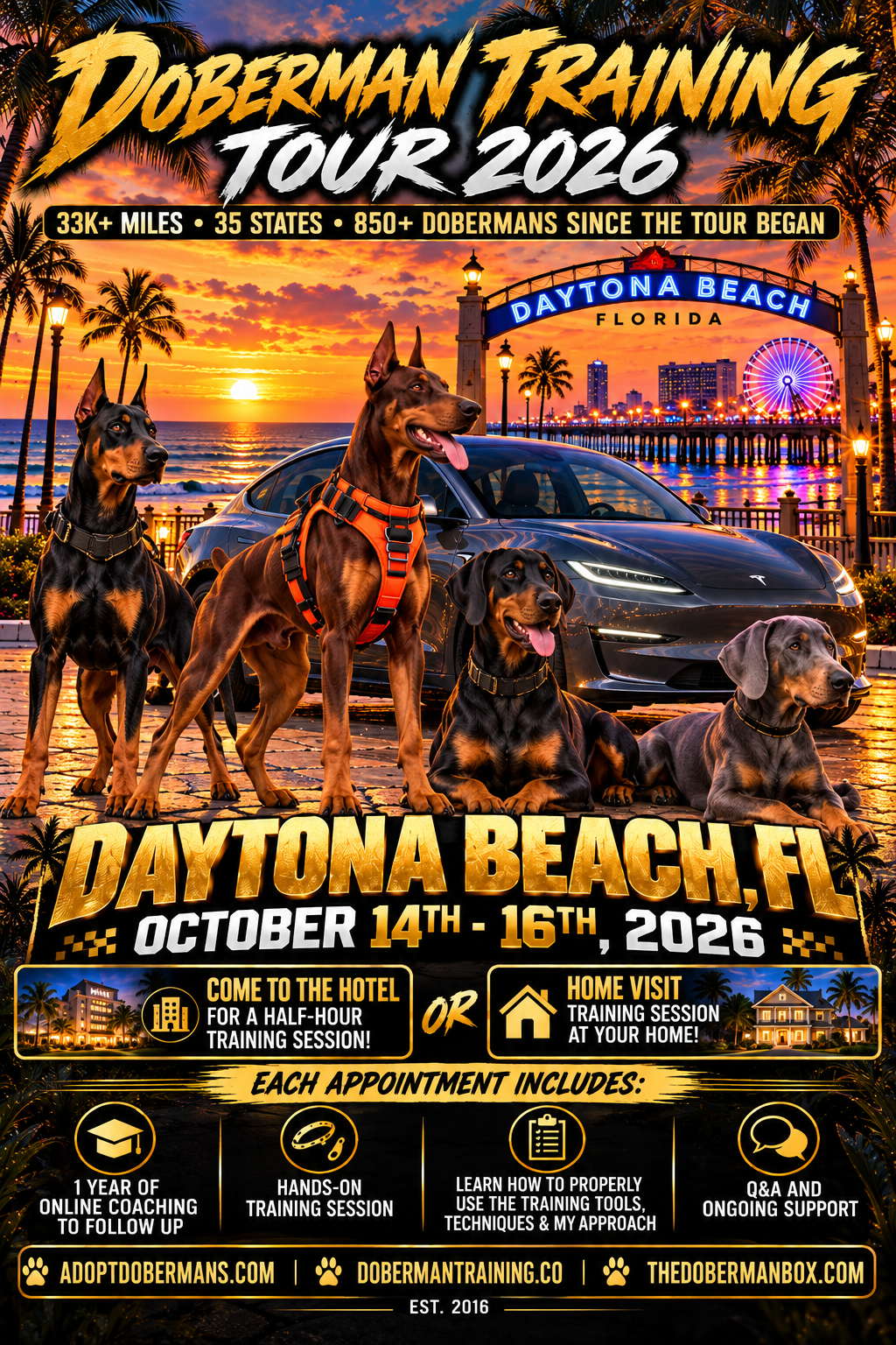 Daytona Beach, FL 90 min. in Person Evaluation & Online Coaching