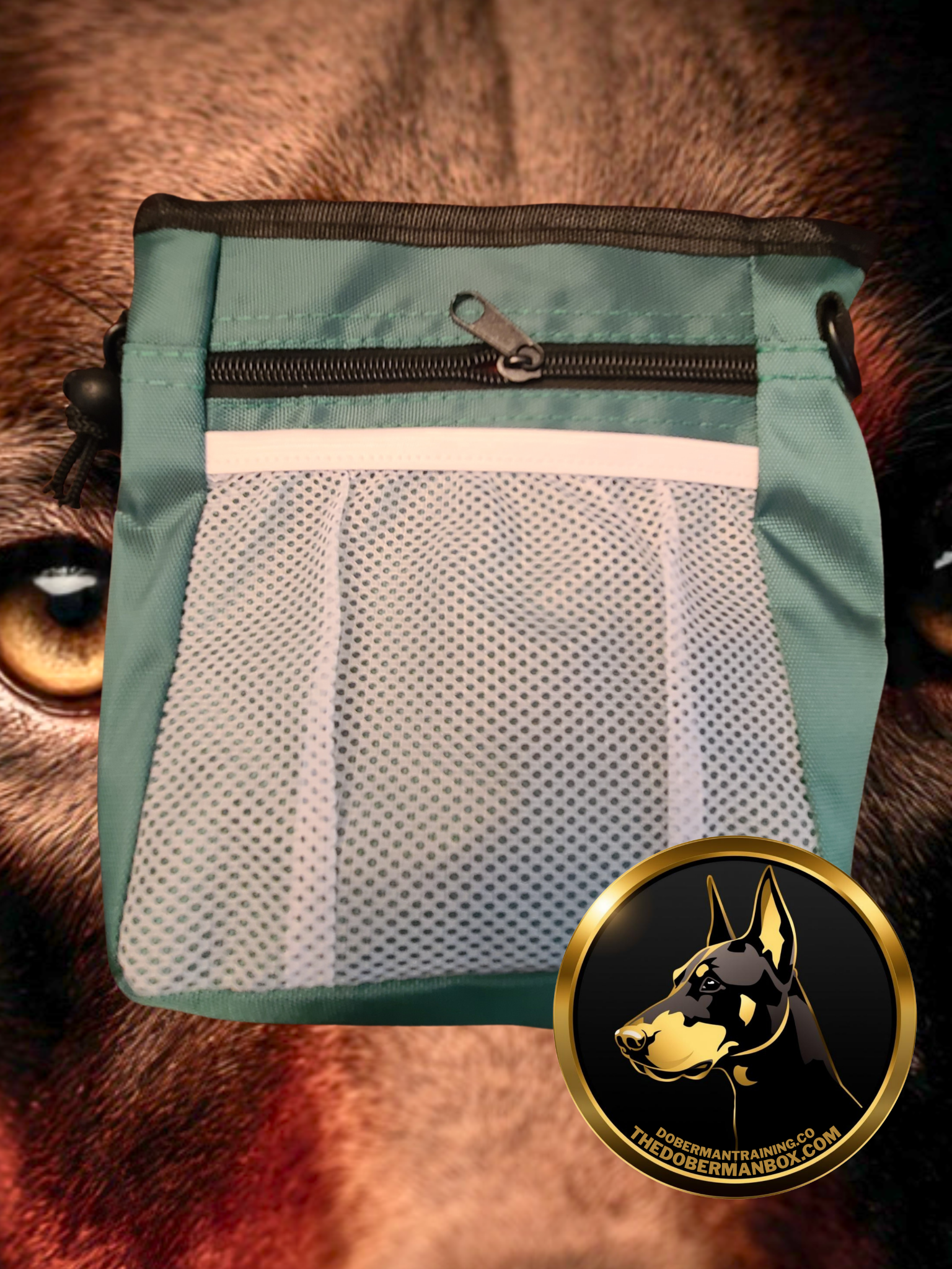 Waterproof Training Treat Pouch