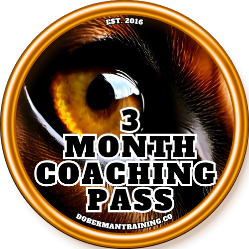 3 Month Coaching Program