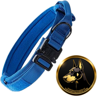 Tactical Collar