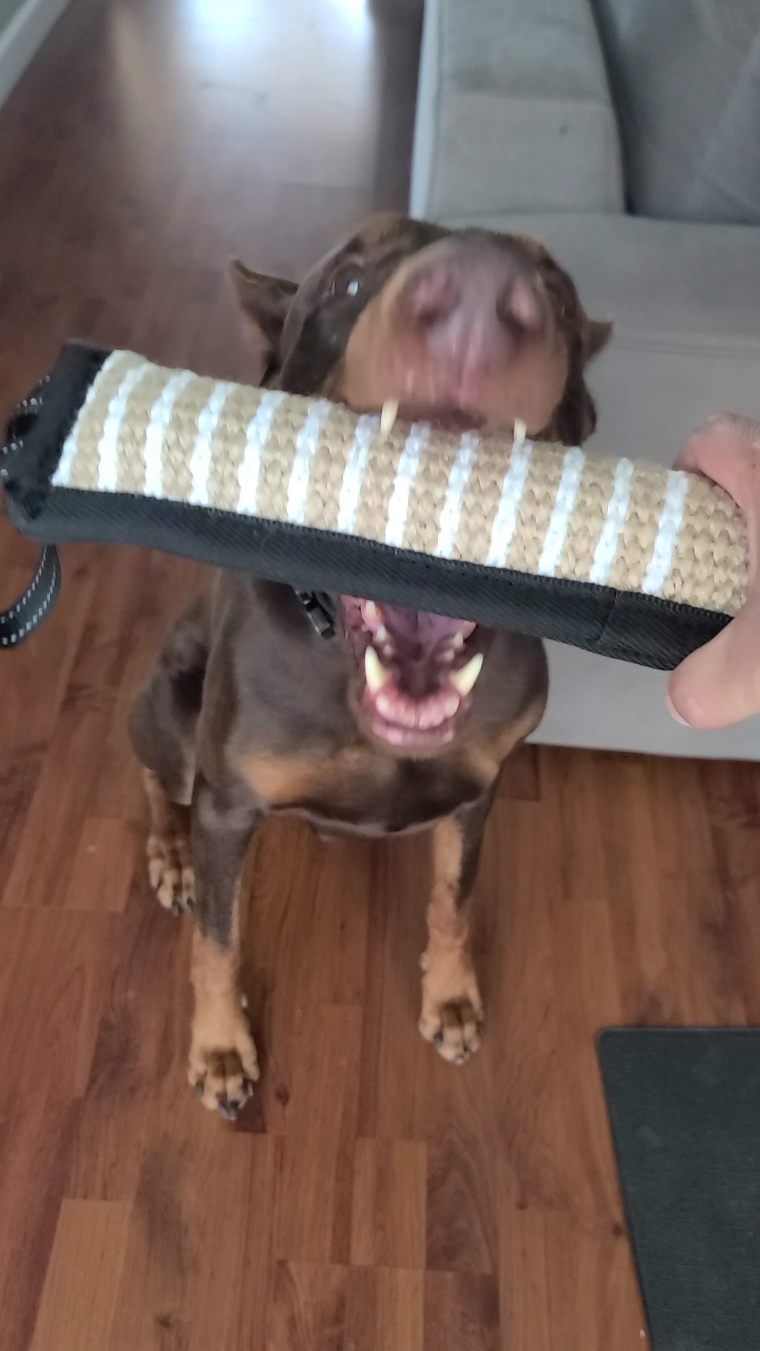 Bite Control Bite Pad