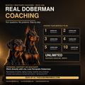 Monthly Online Coaching