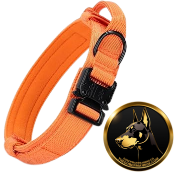 Tactical Collar