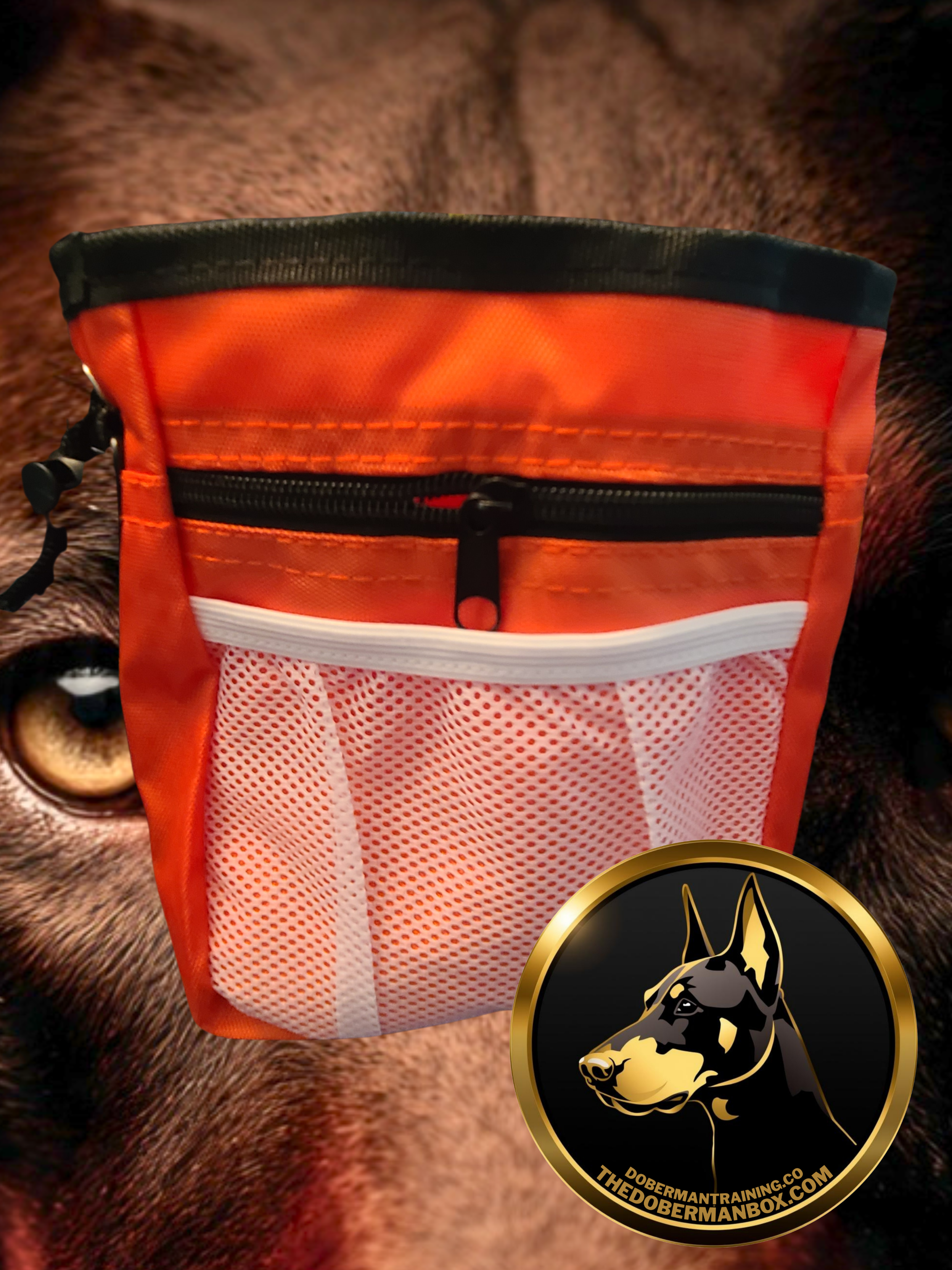 Waterproof Training Treat Pouch